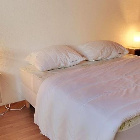 Duplex 4/6P Le Familial Leilighet Laveissière Eksteriør bilde