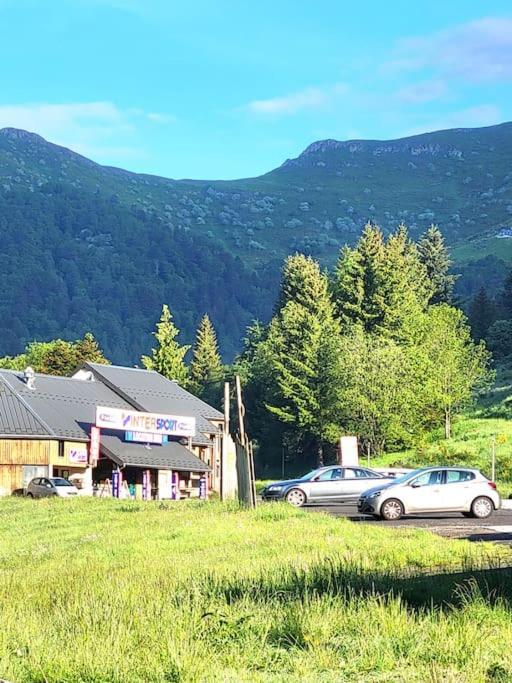 Duplex 4/6P Le Familial Leilighet Laveissière Eksteriør bilde