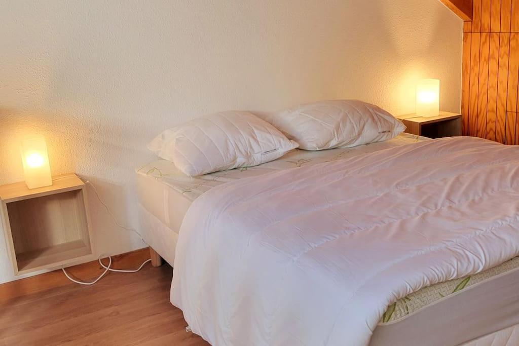 Duplex 4/6P Le Familial Leilighet Laveissière Eksteriør bilde